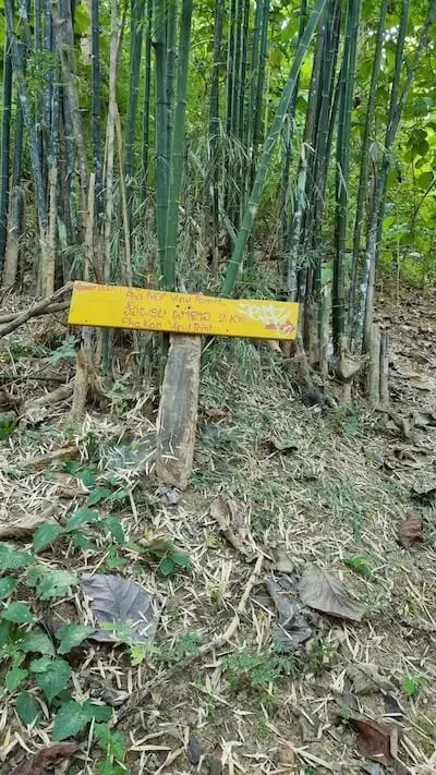 sign-pha-khao-phanoi-trail