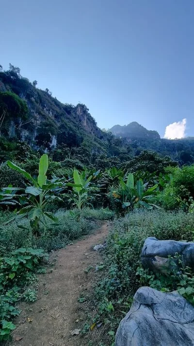 trail-to-pha-khao-nong-khiaw-min