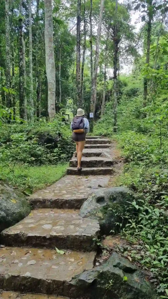 Path through the jungle to Kaeng Nyui Waterfall