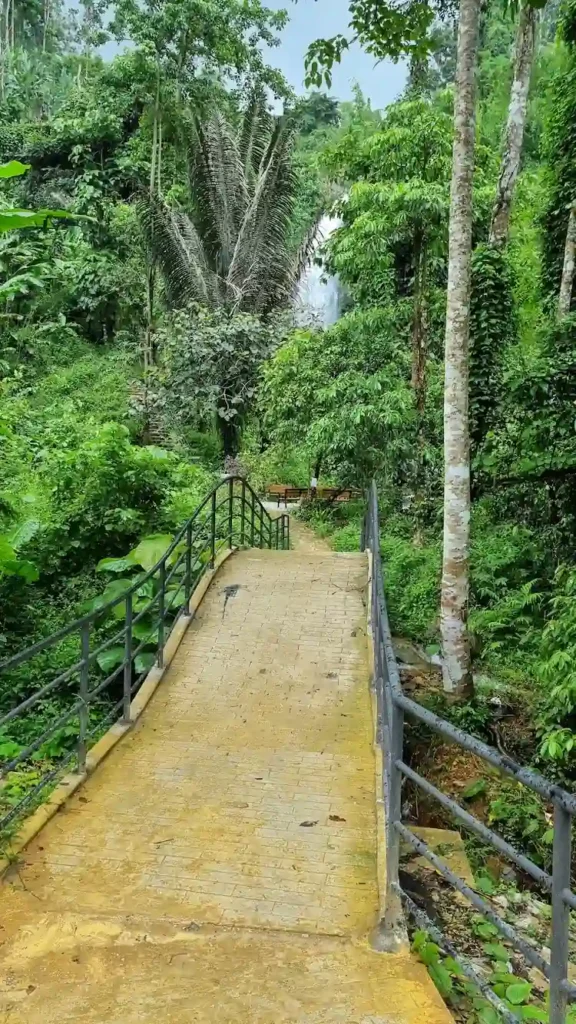 trail-kaeng-nyui-waterfall-2