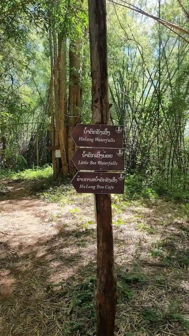 signs jungle trail to tad jarou halang waterfall