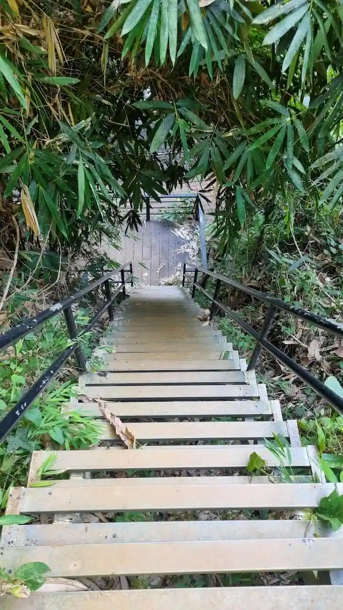 stairway to tad kiet ork waterfall tad tayicseua bolaven