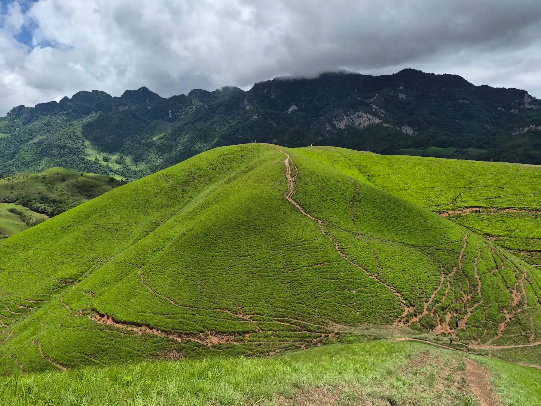 Rounded treeless grass-covered hill at Phou Hua Lon in Xaysomboun Province