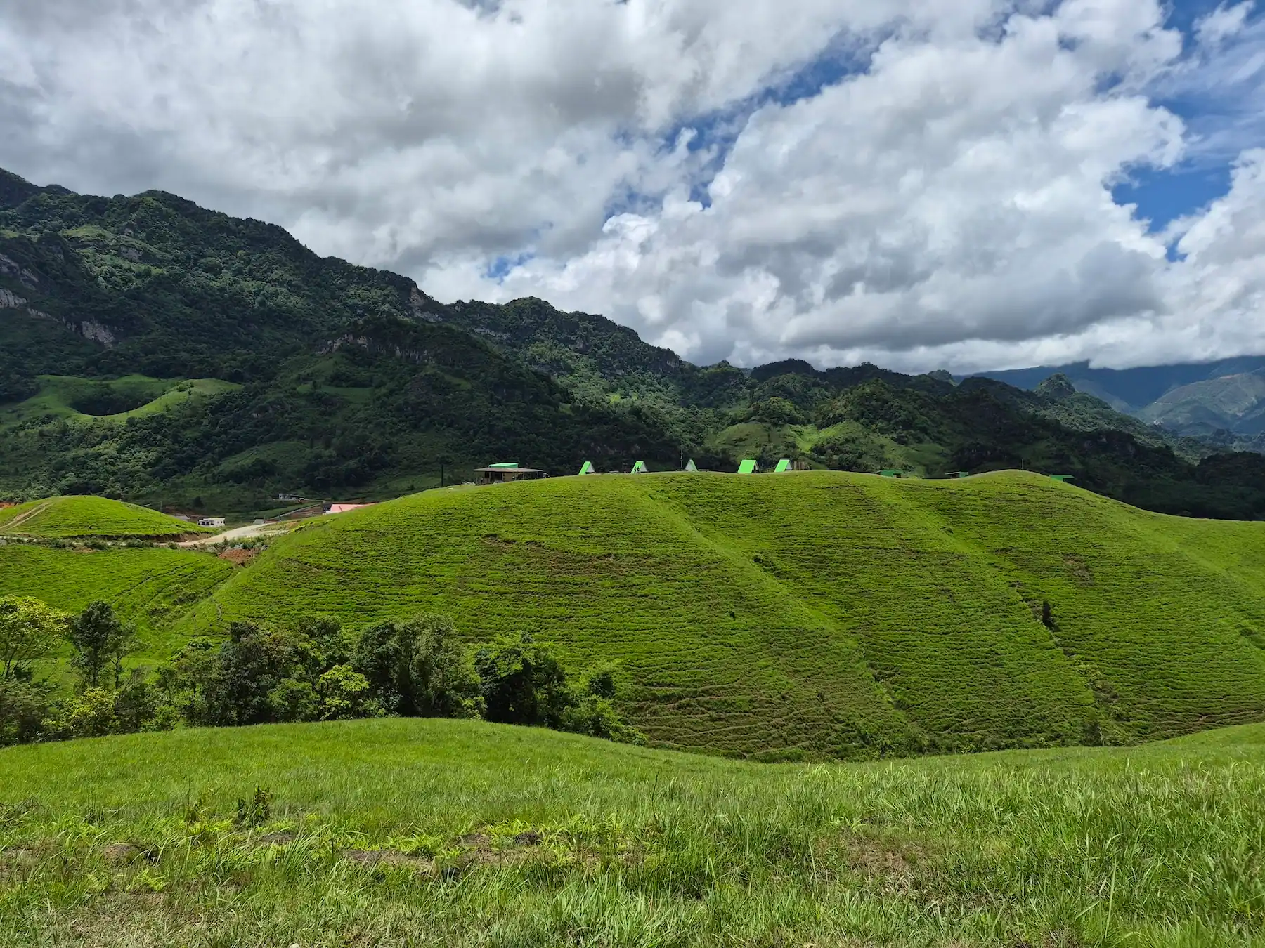 Bungalows on the green hills of Phou Hua Lon in Xaysomboun Province, Laos